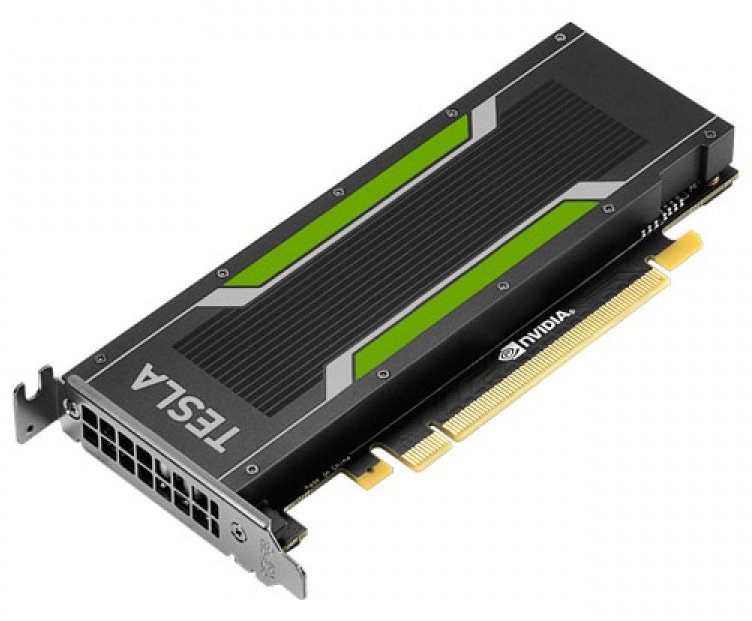 Nvidia deals gpu server